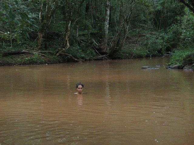 David pura armonia.JPG